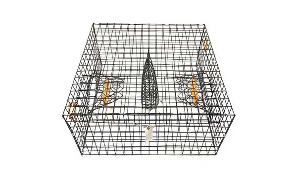 The Trap Cage